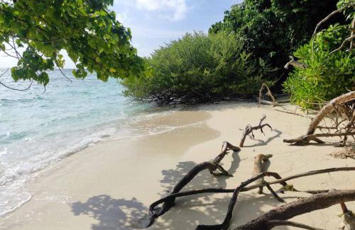 Omadhoo House | SWIMS Maldives