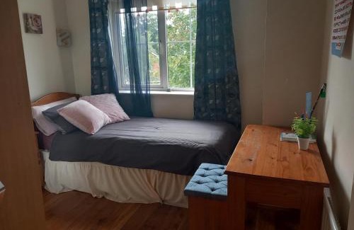 Killotteran Bed & Breakfast | Sycamore Place