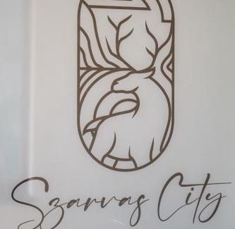 Szarvas Apartment | Szarvas City Apartman