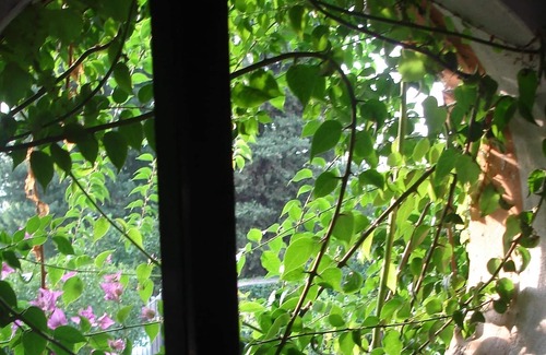 Nola Bed & Breakfast | Taddea woman independent room for 2 people near Naples Pompeii Caserta