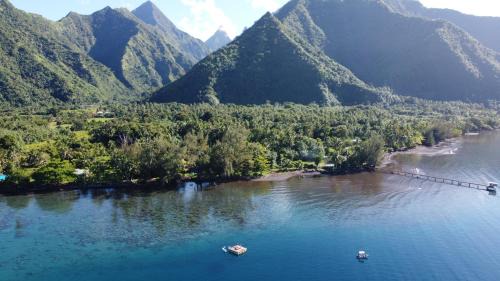 Teahupo'o House | tahiti-bungalow at Teahupoo: beachfront with pountoon and mini pool