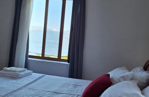 Udenisht Villa | Taku Villa Wonderful view of Lake Ohrid