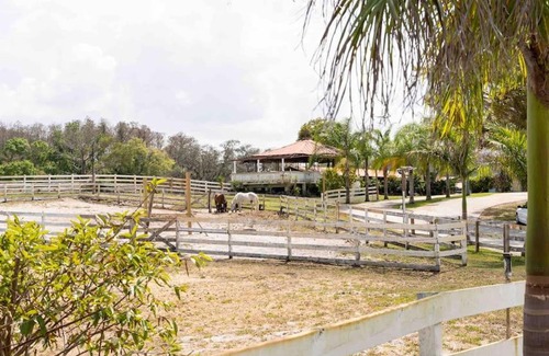 East Lake Apartment | Tampa Bay Oasis
