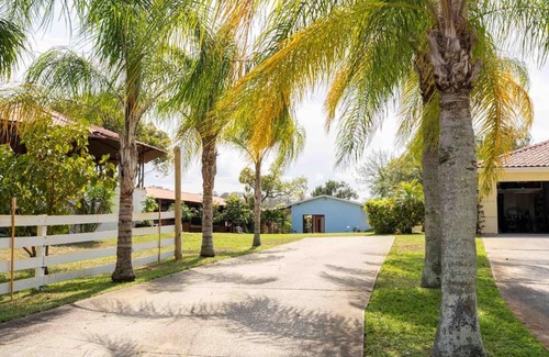 East Lake Apartment | Tampa Bay Oasis