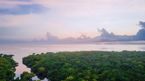 Tanga Hotel | Tanga Beach Resort & Spa
