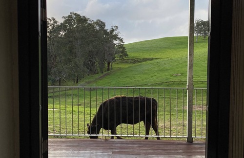 Nannup Ski Chalet | Tanjanerup Chalets "Clementine"nFarm Stay, Meet Larry, Clementine, Lady & Floss