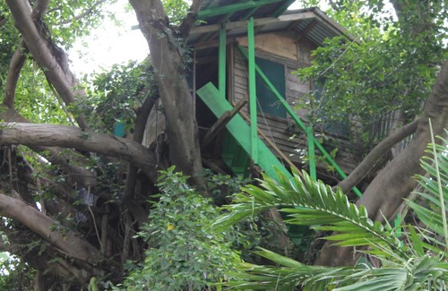 Tanna Island Cabin | Tanna Tree Top Lodge