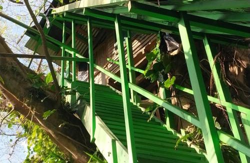 Tanna Island Cabin | Tanna Tree Top Lodge