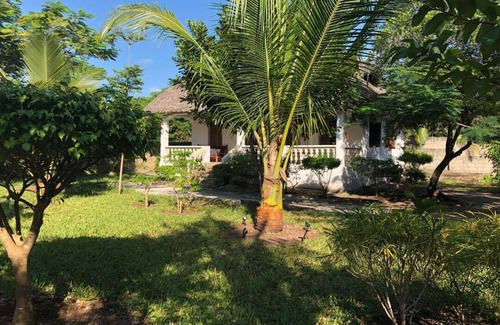 Bwejuu House | Tantaruga s Eden, the hidden treasure in the heart of Zanzibar!
