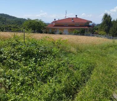 Serravalle Langhe House | Taoretto 1