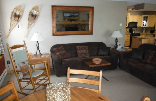 Crested Butte Condo | Tastefully Remodeled, Spacious,Luxury, Calm and Peaceful
