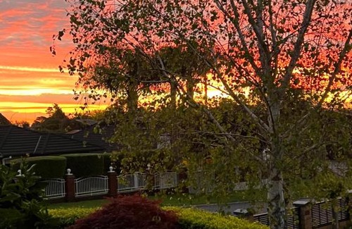 Tauranga Bed & Breakfast | Tauranga Homestead Retreat
