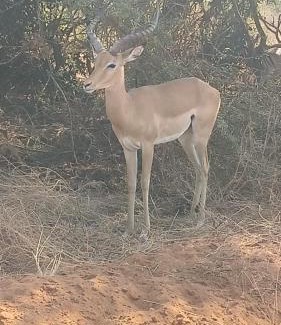 Taita Taveta Hotel | Tausa Tsavo Eco Lodge