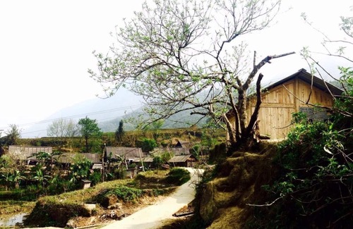 Cha Pai Apartment | Tavan chopai homestay - Single Room