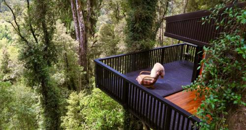 Ngahere House | Te Aka Treehouse
