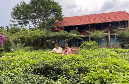 Bao Loc Cabin | Tea Garden House