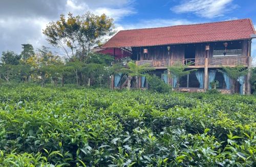 Bao Loc Cabin | Tea Garden House