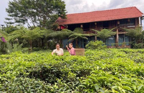 Bao Loc Cabin | Tea Garden House