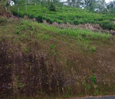 Nelluwa House | Tea Mount view Villa