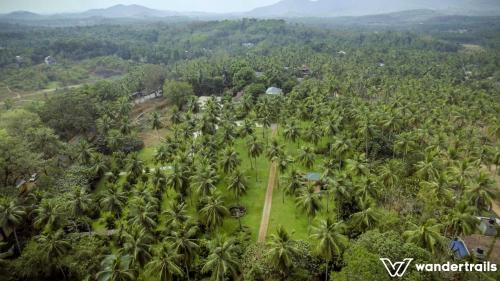 Malappuram House | Teak Town