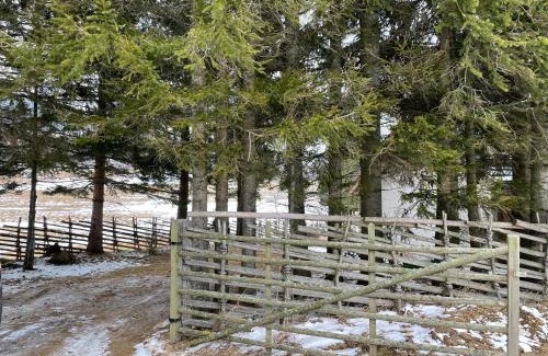 Fladnitz an der Teichalm House | Teichalm Lodge Landhaus