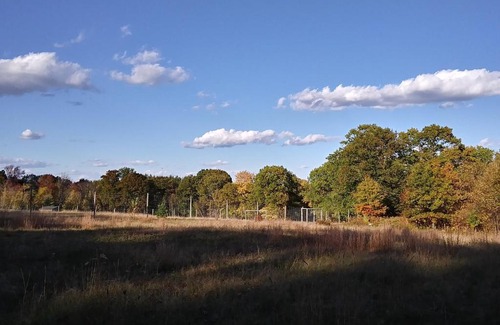 Hollis Center Other | Tentrr Signature Site - Deerwander Camp B