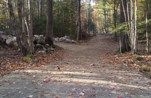 Hollis Center Other | Tentrr Signature Site - Deerwander Camp B