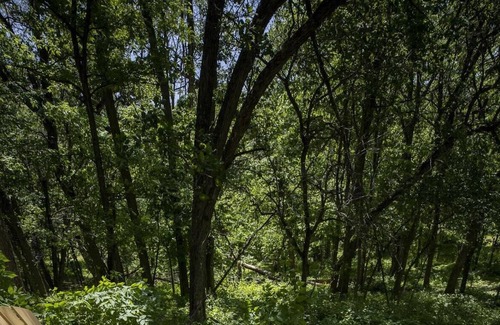 Thurston County RV Rental | Tentrr Signature Site - Hackberry Campsite 2