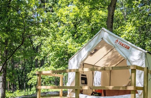 Thurston County RV Rental | Tentrr Signature Site - Hickory Campsite 1