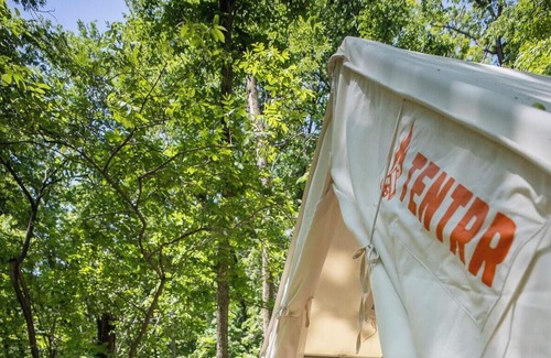 Thurston County RV Rental | Tentrr Signature Site - Hickory Campsite 1
