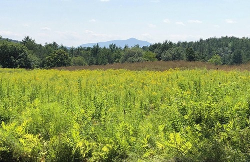 Lebanon RV Rental | Tentrr Signature Site - Ascutney View