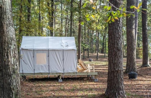 Morton RV Rental | Tentrr State Park Site - Mississippi Roosevelt State Park - Tall Trees C - Singl