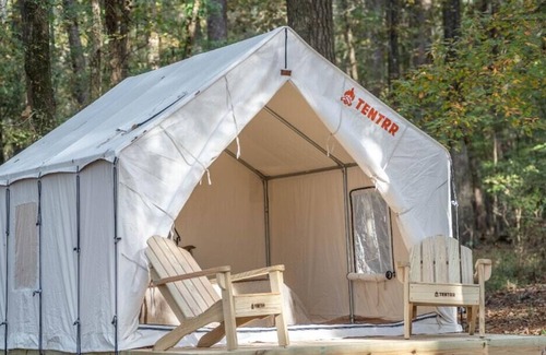 Morton RV Rental | Tentrr State Park Site - Mississippi Roosevelt State Park - Tall Trees C - Singl