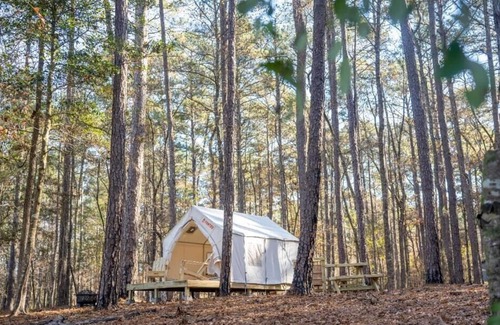 Quitman RV Rental | Tentrr State Park Site - Mississippi Clarkco State Park - Lakeview C - Single Ca