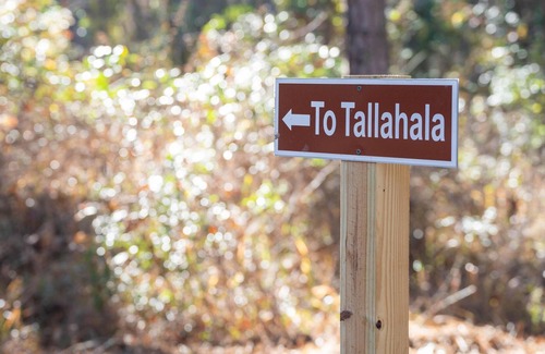 Quitman RV Rental | Tentrr State Park Site - Mississippi Clarkco State Park - Trailside E - Single C