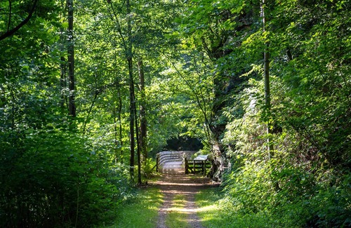 Ansted RV Rental | Tentrr State Park Site - WV Hawk's Nest State Park - Site F - Single Camp