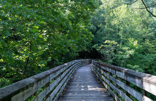 Ansted RV Rental | Tentrr State Park Site - WV Hawk's Nest State Park - Site F - Single Camp