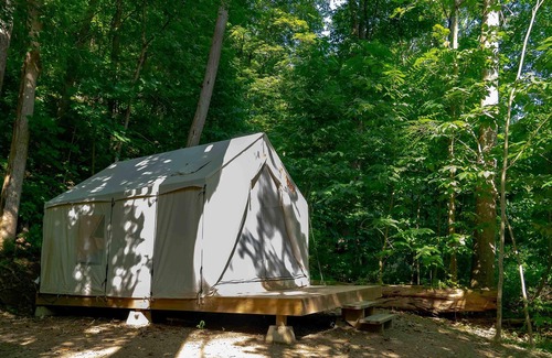 Ansted RV Rental | Tentrr State Park Site - WV Hawk's Nest State Park - Site F - Single Camp