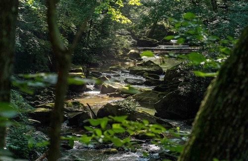 Ansted RV Rental | Tentrr State Park Site - WV Hawk's Nest State Park - Site D - Single Camp