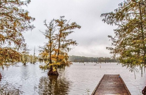 Saint Landry RV Rental | Tentrr State Park Site - Louisiana Chicot State Park - Site E - Single Camp