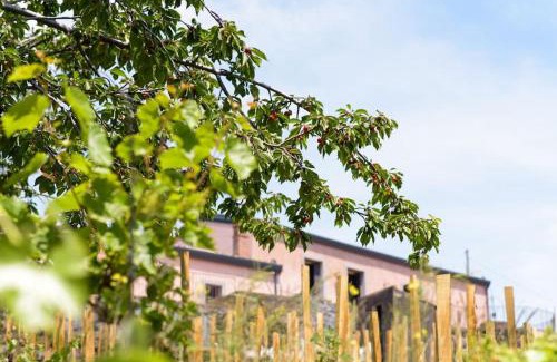 Mascali House | Tenuta Costa Sovere