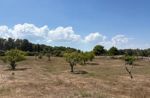 Torre dell'Orso House | Tenuta Mare Verde