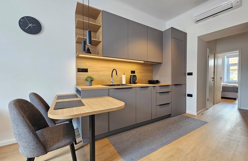 Ljubljana City Centre Apartment | Teo Tour AS/Cozy 1-bedroom apartment with free WiFi, AC in charming Ljubljana