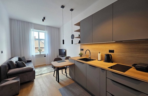Ljubljana City Centre Apartment | Teo Tour AS/Cozy 1-bedroom apartment with free WiFi, AC in charming Ljubljana