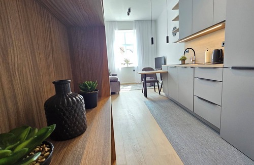 Ljubljana City Centre Apartment | Teo Tour AS/Cozy 1-bedroom apartment with free WiFi, AC in charming Ljubljana