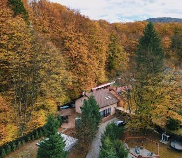Avrig House | Teodor Chalet