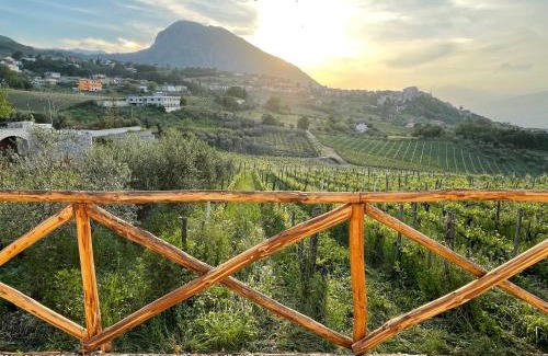 Torrecuso House | Terra Mea