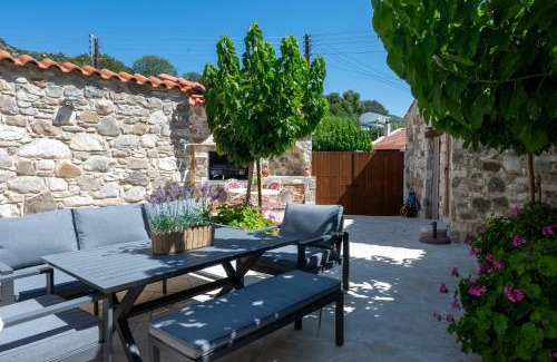 Vasa Koilaniou House | Terra Nobile, 3BR Mountain Stone Escape BBQ Fireplace