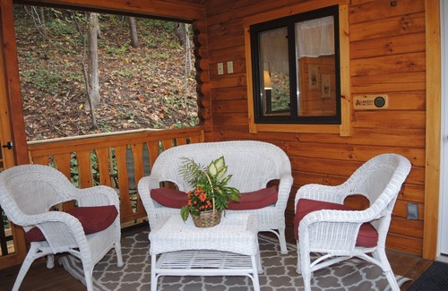 Cooperstown Cabin | Terrace Lawn Cabin - Recently built cabin, 1/2 mile to Dreams Park, shared pool
