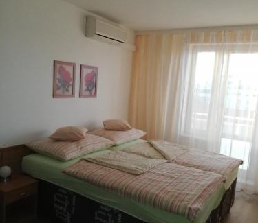 Karlin Apartment | Terrace Studio Prague Center